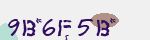 反スパムコード